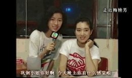 宋智敏爆料梅艳芳视频播放,真相背后引人深思